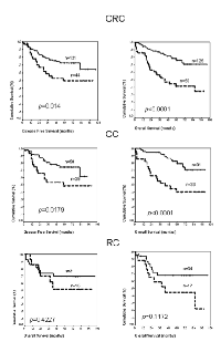 Figure 1: Kaplan-Meier curves and 