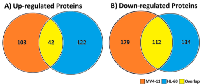 Figure 4:  Comparison of the regulated proteins after  genistein treatment of M4-11 and HL-60 cells identified  from our iTRAQ-based proteomic study. 