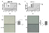 Figure 2:  TR4 increases PPARG null normal prostate epithelial cell growth and transformation. 