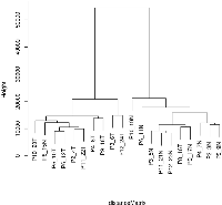 Figure 1: Hierarchical cluster analysis. 