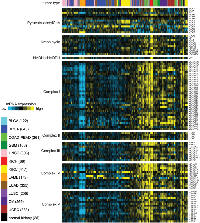 Figure 1: In a panel of human cancers of various tissues of origin (from TCGA, n = 3,564 samples), differential  expression (relative to sample median) of genes related to Krebs cycle and Electron Transport Chain (ETC). 