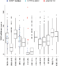 Figure 2:  In a panel of human cancers of various tissues of origin (from TCGA, n = 3,564 samples),  