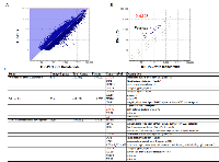 Figure 3:  The difference in the gene expression between DR-PC3 cells with and without thalidomide treatment as  shown by quantitative RT-PCR. 