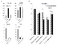 Figure 4:  Effect of proposed target genes on cell viability of DR-PC3 cells as shown by gene-specific siRNA transfection. 