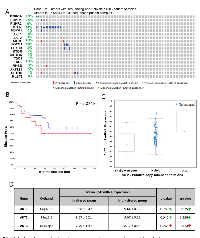 FIGURE 1: Gene alterations in Akt pathway human prostate adenocarcinoma.  (A) 