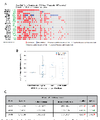 FIGURE 2:  Gene alterations in Akt pathway in castration-resistant neuroendocrine PCa.  (A) 