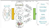 Figure 2:  Diagrammatic representation of kodikaz therapeutic solutions’ zip-code technology application to various  human diseases.