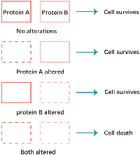 Figure 1: Shchematic of symthetic lethality. 