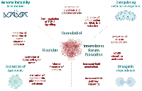 Figure 1: The potential mechanisms behind the synergistic effect between Cannabidiol, Cisplatin, and Intermittent Serum Starvation in the HCT-116 cell line. 