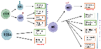 Figure 1: Pomalidomide-mediated immune changes associated with PFS. 