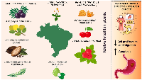 Figure 2: Brazilian plants exhibit chemopreventive effects in stomach cancer, reducing cell proliferation and migration and increasing apoptosis. 