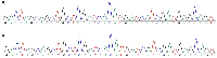 Figure 3: Sanger sequencing for TP53 gene profiling. 
